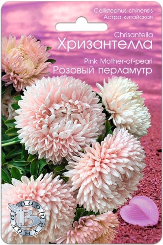 Хризантелла - Астра китайская Розовый Перламутр цв.п 30шт Биотехника