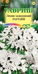 Лихнис Халцедонский Раурайф цв.п 0,1гр Гавриш