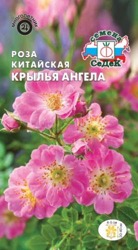 Роза Крылья Ангела китайская цв.п 0,1гр СеДек