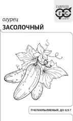 Огурец Засолочный бел.п 0,5гр Гавриш