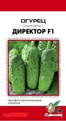 Огурец Директор F1 цв.п 6шт Сортсемовощ
