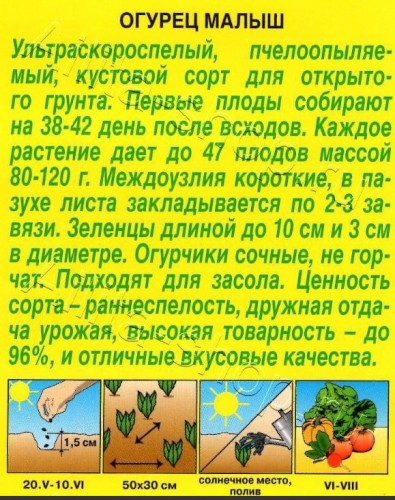 Огурец Малыш цв.п 10шт Аэлита