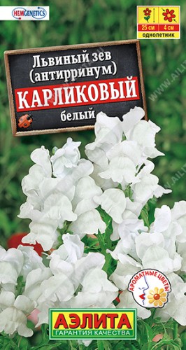 Львиный Зев (антирринум) Карликовый Белый цв.п 10шт Аэлита