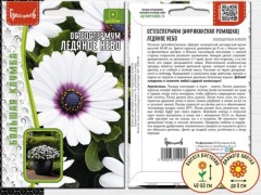 Остеоспермум Ледяное Небо цв.п 0,1гр ИП Григорьев