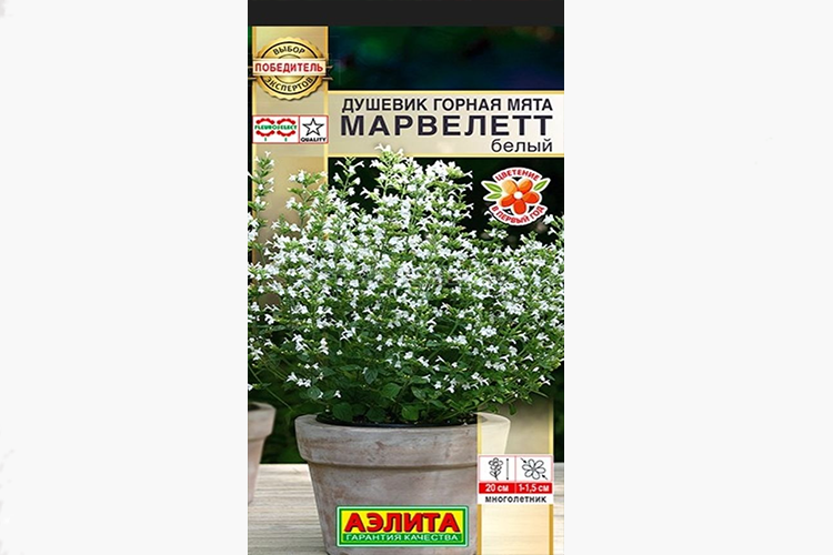 Душевик (Горная мята) Марвелетт белый цв.п 7шт Аэлита