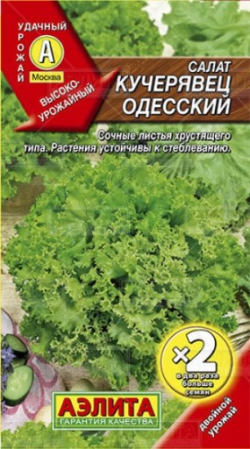 Салат Кучерявец Одесский Х2 цв.п 1гр Аэлита