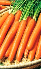 Морковь гранулы Без Сердцевины цв.п 250шт Уральский Дачник