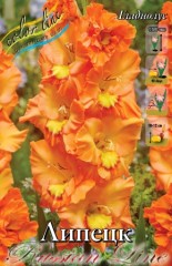 Гладиолус Липецк 8лук. Colorline