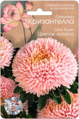 Хризантелла - Астра китайская Цветок Лотоса цв.п 30шт Биотехника