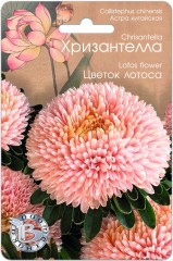 Хризантелла - Астра китайская Цветок Лотоса цв.п 30шт Биотехника