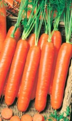 Морковь гранулы Нантская 4 цв.п 300шт Уральский Дачник