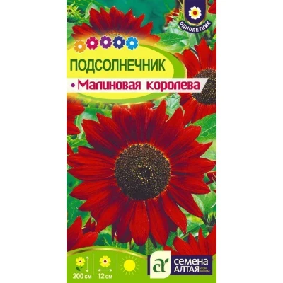 Подсолнечник декоративный однолетний Малиновая Королева цв.п 0,3гр Семена Алтая