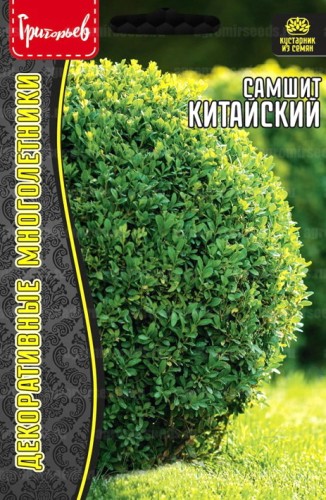 Самшит Китайский цв.п 10шт ИП Григорьев