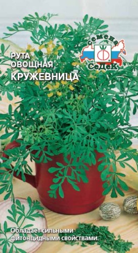 Рута Кружевница овощная цв.п 0.1гр Седек