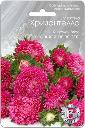 Хризантелла - Астра китайская Сбежавшая Невеста цв.п 30шт Биотехника