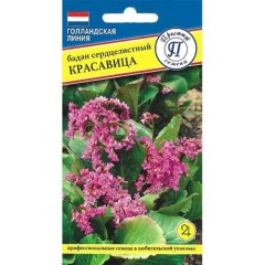 Бадан сердцелистный Красавица цв.п 10шт Престиж