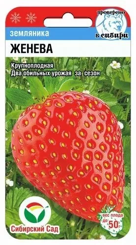 Земляника Женева цв.п 10шт Сибирский Сад