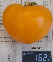 Томат Гном Золотое Сердце цв.п 10шт Медведев