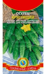 Огурец Хрустящий цв.п 12шт Плазмас
