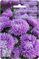 Хризантелла - Астра китайская Сиреневый Туман цв.п 30шт Биотехника