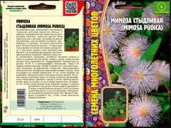 Мимоза Стыдливая (Mimosa pudica) цв.п 20шт	ИП Григорьев