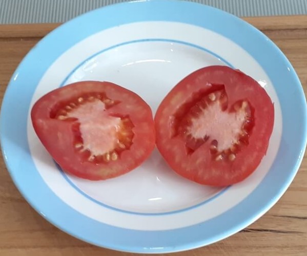 Томат Красный Кубик цв.п 10шт Медведев