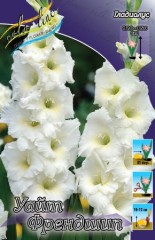 Гладиолус Уайт Френдшип 10лук. Colorline