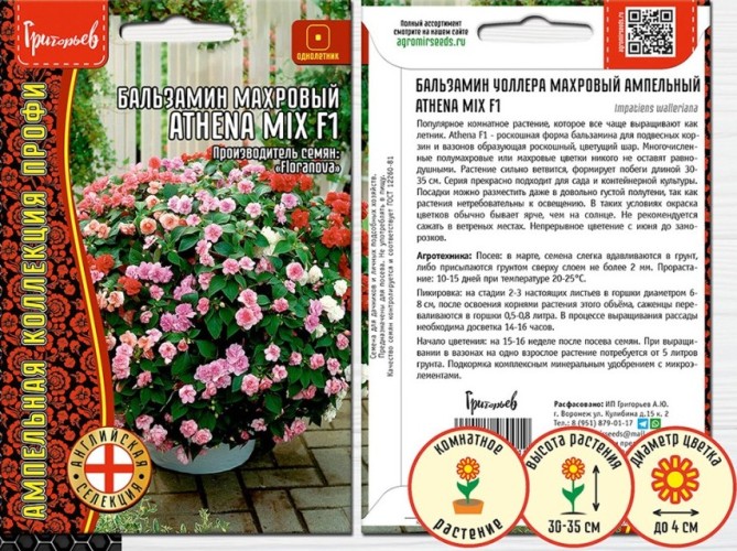 Бальзамин Уоллера Athena Mix F1 ампельный цв.п 5шт ИП Григорьев
