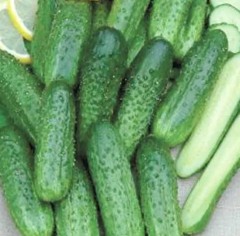 Огурец Донской Пассаж F1 цв.п 7шт Сибирский Сад