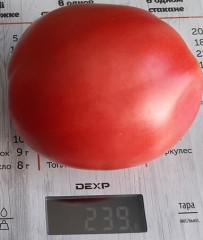 Томат Лото цв.п 10шт Медведев