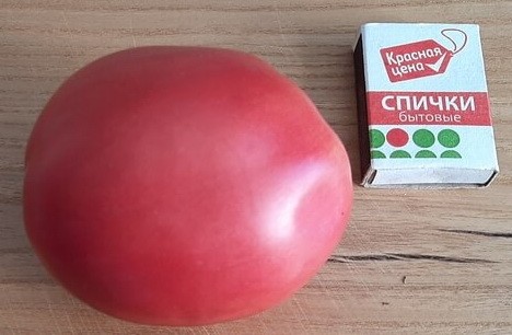 Томат Лото цв.п 10шт Медведев
