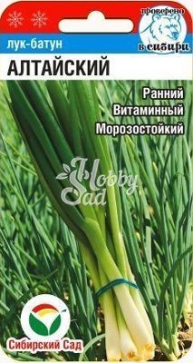 Лук батун Алтайский цв.п 0,5гр Сибирский Сад