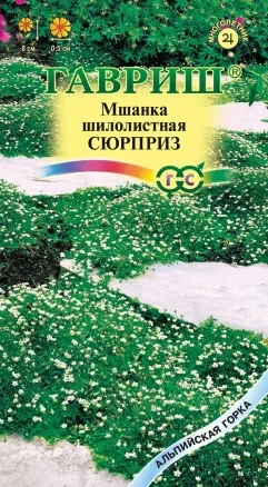 Мшанка шилолистная Сюрприз цв п 0,01гр Гавриш