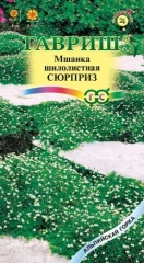 Мшанка шилолистная Сюрприз цв п 0,01гр Гавриш