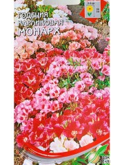 Годеция Монарх карликовая цв.п 170шт Сортсемовощ