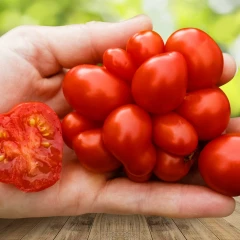 Томат Рейсетомейт цв.п 3шт Сады России