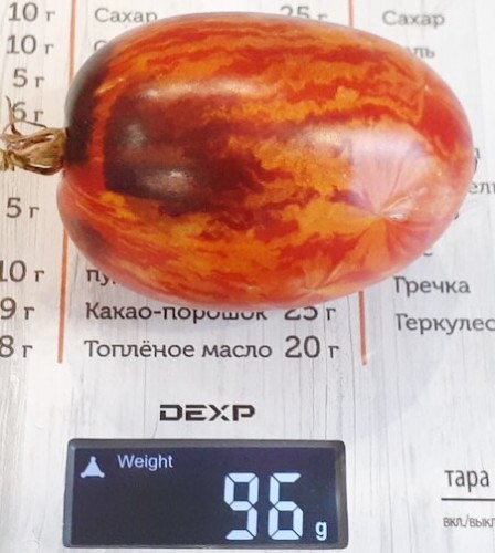 Томат Гном Бой С Тенью цв.п 10шт Медведев