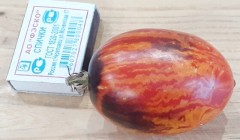 Томат Гном Бой С Тенью цв.п 10шт Медведев