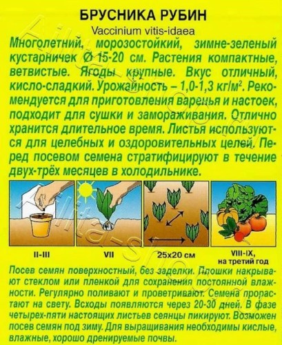 Брусника Рубин цв.п 0,01гр Аэлита