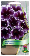 Глоксиния Импресс Блю Пикоти цв.п. 5шт Поиск