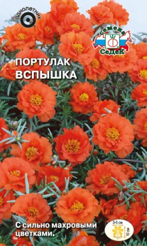 Портулак Вспышка цв.п 0,06гр СеДек