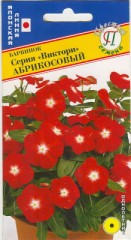 Барвинок Виктори Абрикосовый цв.п 10шт Престиж