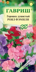 Душистый Горошек Роял Фемили цв.п 1гр Гавриш
