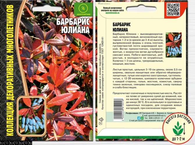Барбарис Юлиана цв.п 5шт ИП Григорьев
