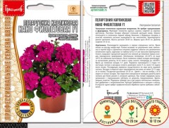 Пеларгония Нано Фиолетовая F1 карликовая цв.п 3шт ИП Григорьев