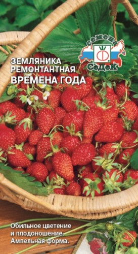Земляника Времена Года ремонтантная цв.п 0,04г Седек