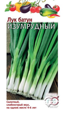 Лук батун Изумрудный цв.п 1гр Гавриш
