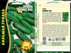 Огурец Феникс 640 цв.п 50шт ИП Григорьев