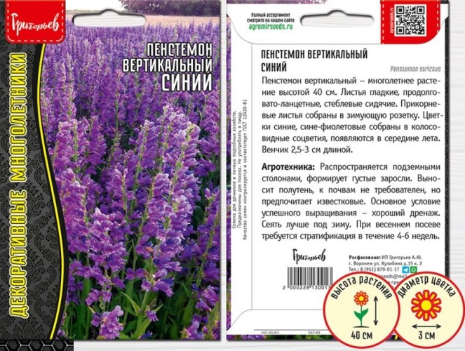 Пенстемон Penstemon strictus blue вертикальный цв.п 0,1гр ИП Григорьев