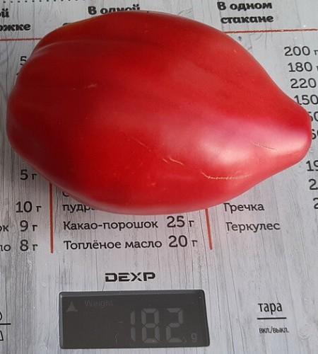 Томат Гном Головорез цв.п 10шт Медведев